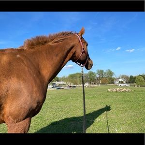 Meet your Posher, Deirdre